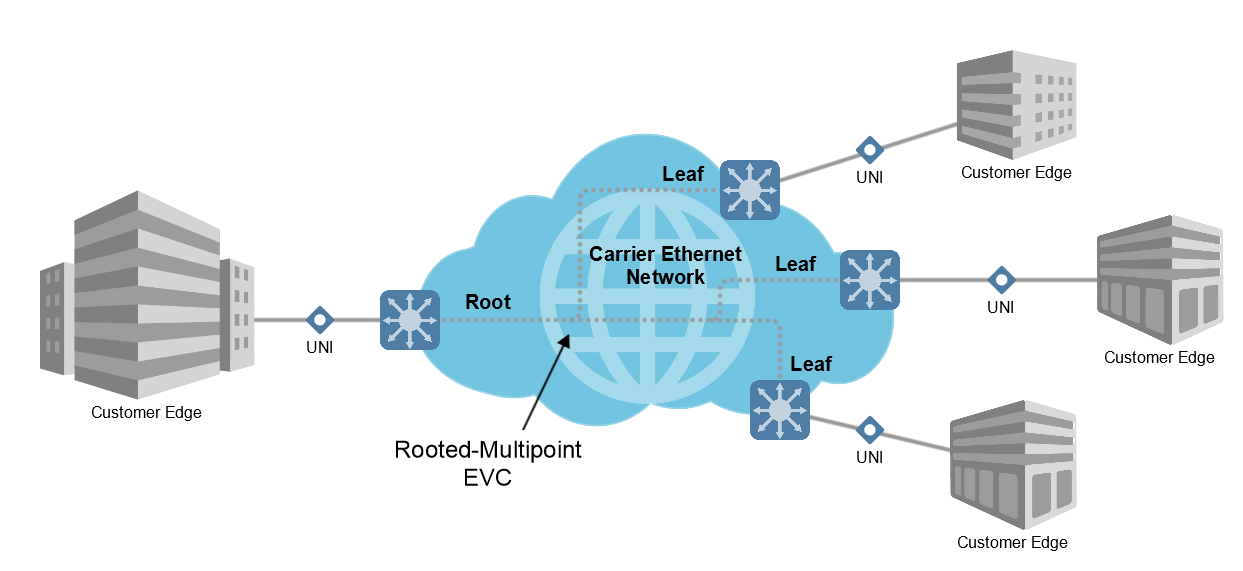 OneRoot Network description